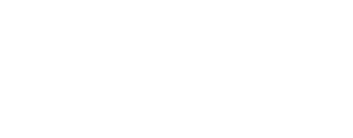 Hunt for the Wilderpeople