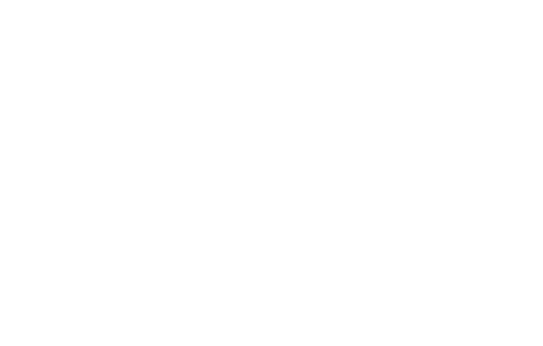 The Purge